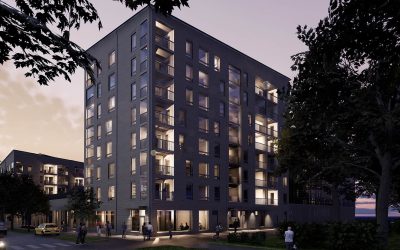 Kirstinpuiston Tammi & Vaahtera